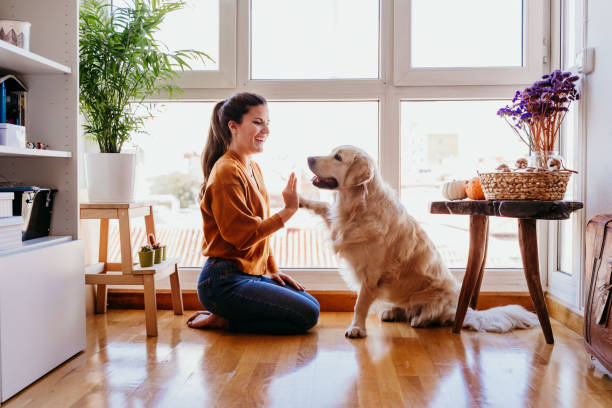 another example image to write good alt text. here a women is giving a high five to her golden retriever dog at home