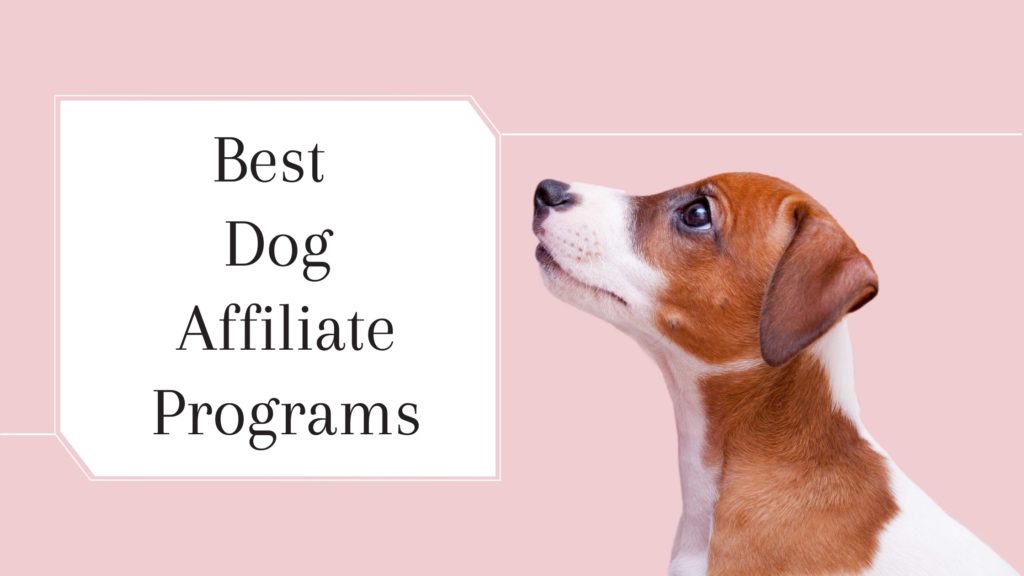 9 Best Dog Affiliate Programs of 2022